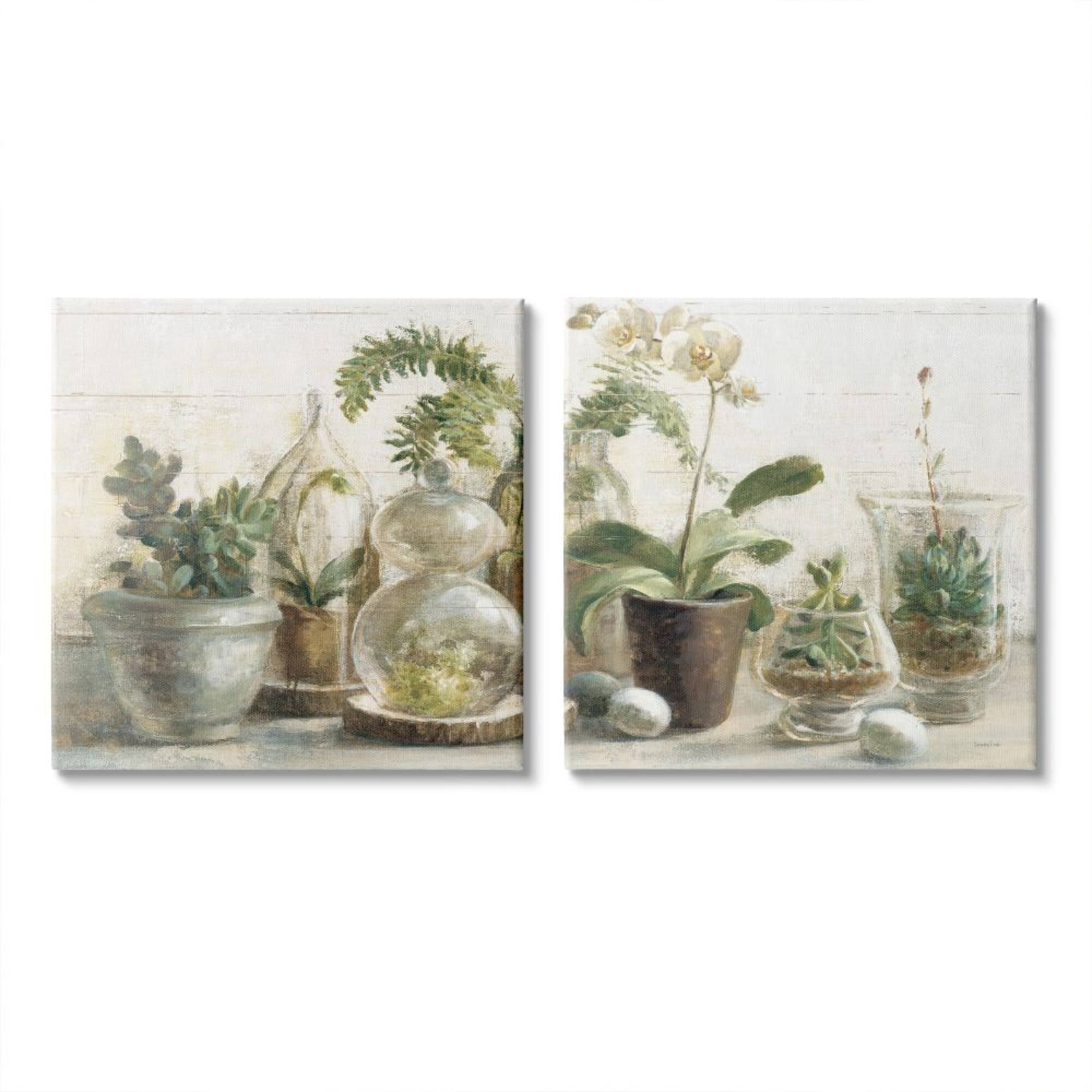 Stupell Industries Succulent House Plants Country Charm Green Brown Canvas Wall Art